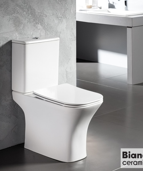 Λεκάνη  Delia/65 Rimless (Πισωστόμια/Κατωστόμια)